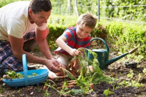 gardening and emotional well-being